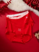 100 Cotton Panties 1119 Flatlay 10