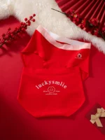 100 Cotton Panties 1119 Flatlay 12