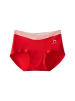 100 Cotton Panties 1119 Flatlay 4