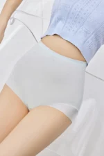 High Waist Panties S9902 Model 2